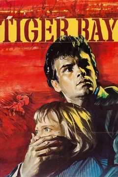 Affiche du film Les yeux du temoin