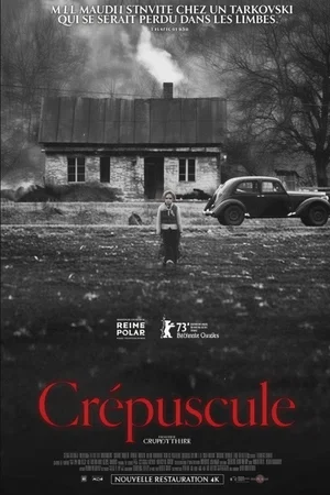 Affiche du film : Crépuscule