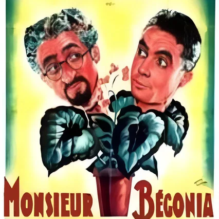 Miniature photo du film : Monsieur begonia
