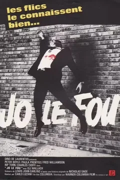Affiche du film = Jo le fou