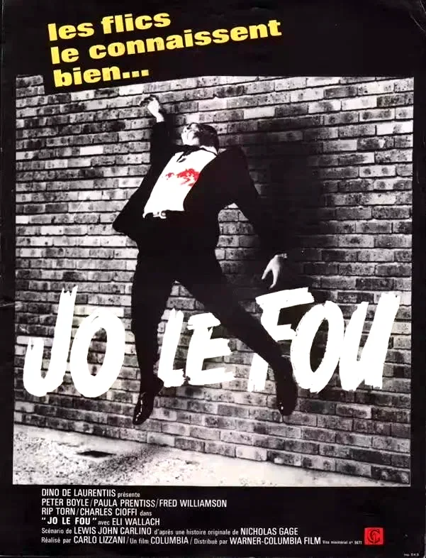 Photo 2 du film : Jo le fou