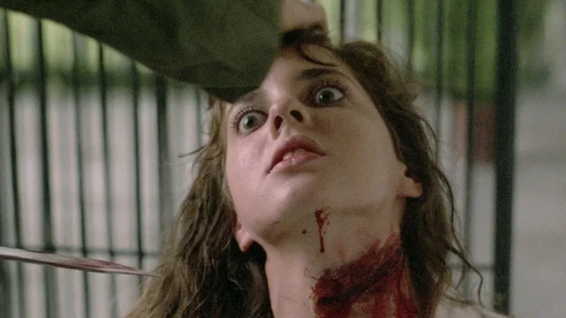 Photo 3 du film : L'attaque des morts vivants