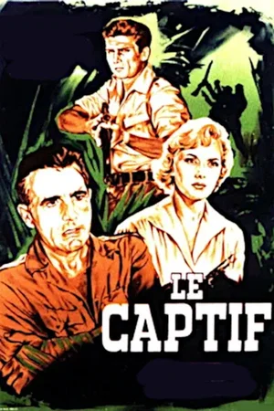 Affiche du film : Le captif