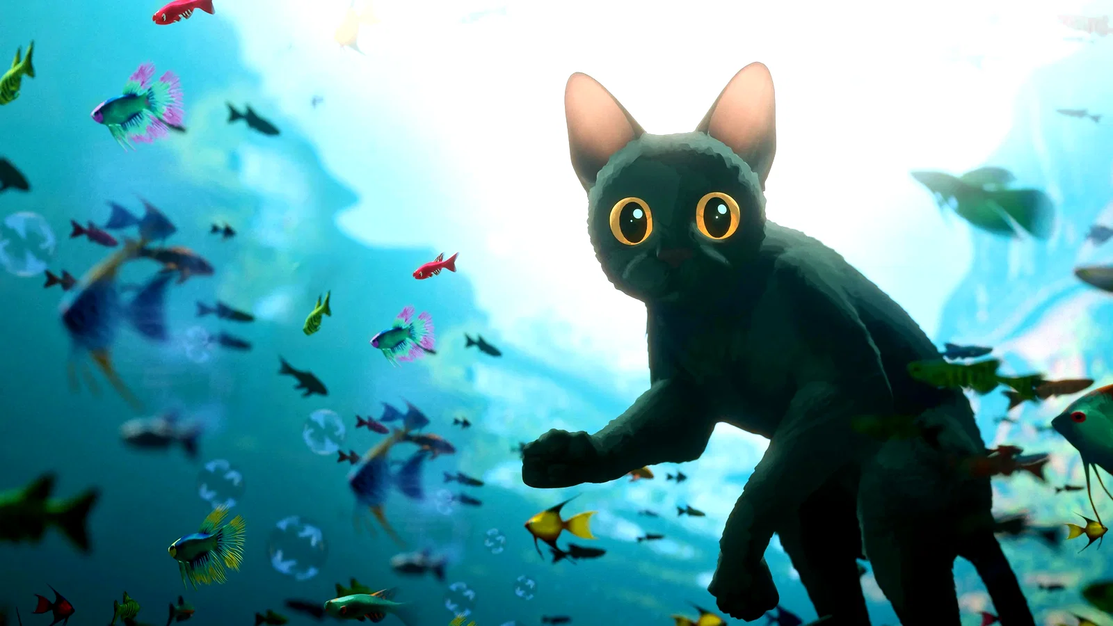 Photo 13 du film : Flow, le chat qui n'avait plus peur de l'eau