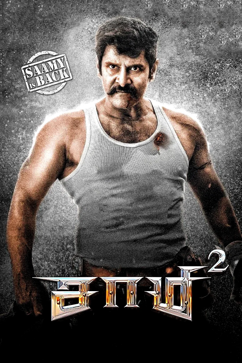 Affiche du film : Saamy²