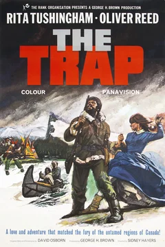 Affiche du film L'aventure sauvage