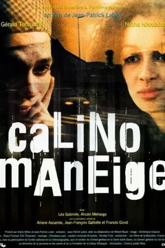 Affiche du film = Calino maneige