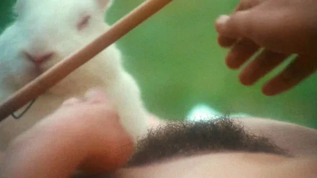 Photo 5 du film : Les Héroïnes du mal