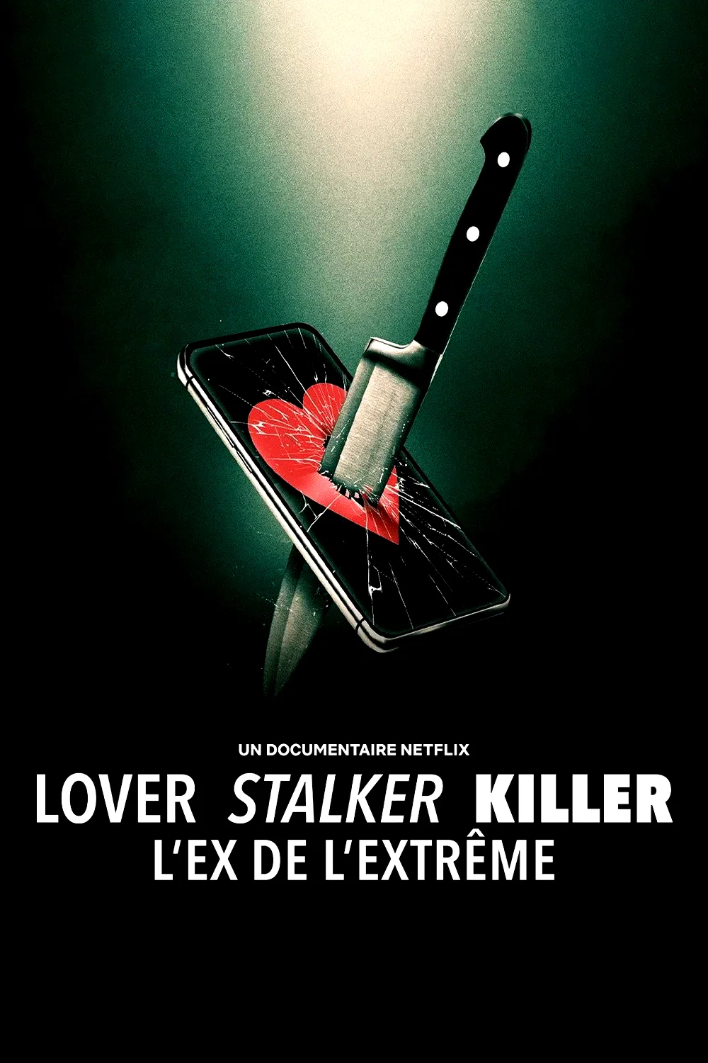 Affiche du film : Lover, Stalker, Killer : L'ex de l'extrême