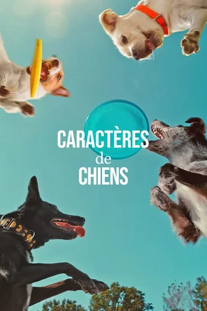 Affiche du film : Caractères de chiens