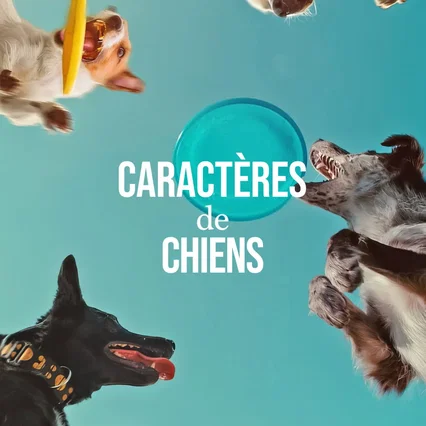 Miniature photo du film : Caractères de chiens