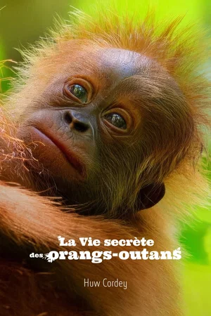 Photo 3 du film : La Vie secrète des orangs-outans