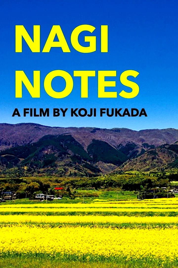 Affiche du film : Quelques jours à Nagi