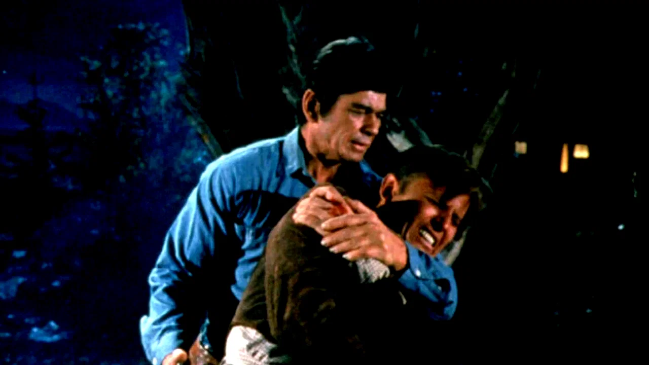 Photo 2 du film : Le californien