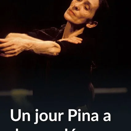 Miniature photo du film : Un jour Pina a demandé...