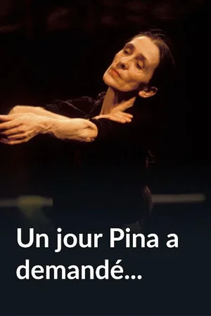 Photo 3 du film : Un jour Pina a demandé...
