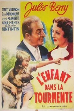 Affiche du film Retour au bonheur