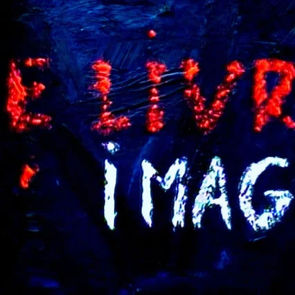 Miniature photo du film : Le Livre d'image