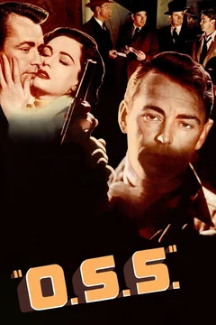 Affiche du film Les heros dans l'ombre