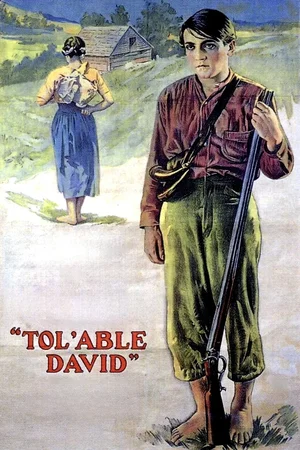 Affiche du film : David l'endurant