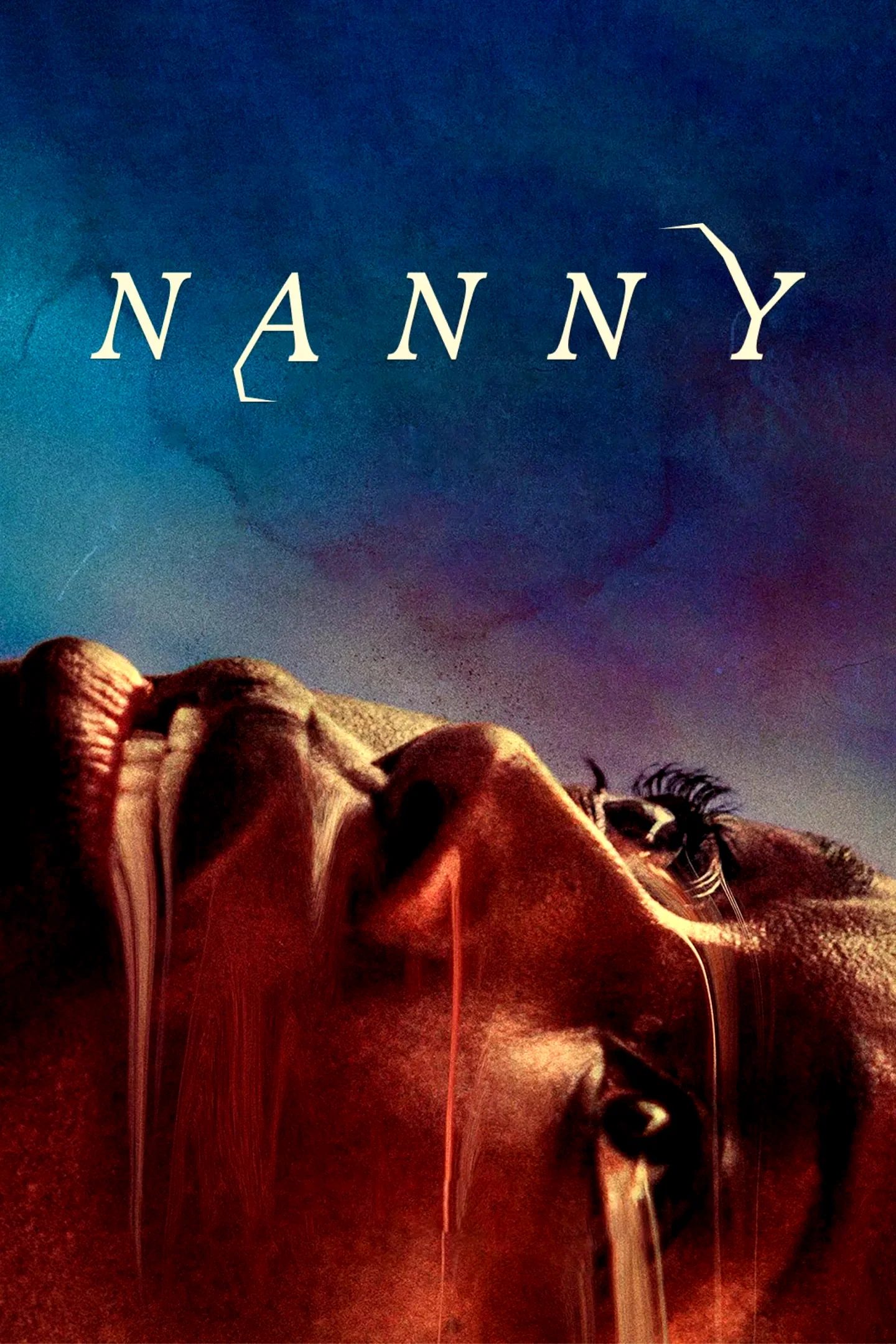 Affiche du film : Nanny