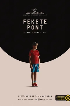 Affiche du film = Lesson Learned