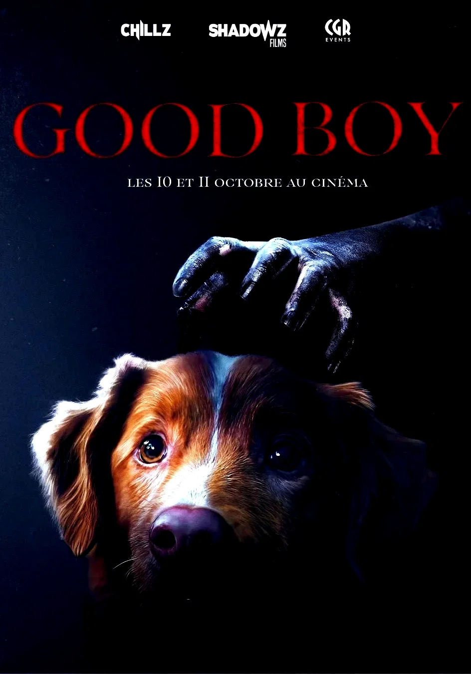 Affiche du film : Good Boy