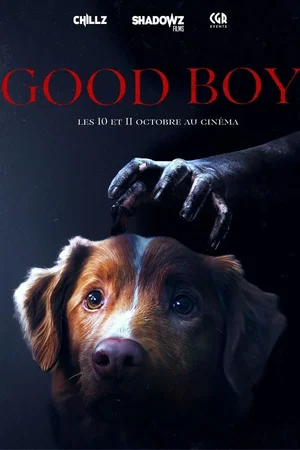 Affiche du film : Good Boy