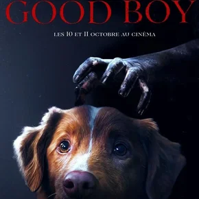 Photo du film : Good Boy
