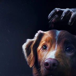 Photo du film : Good Boy