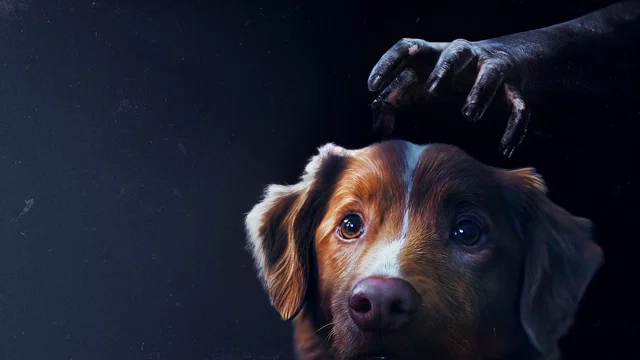Affiche du film : Good Boy