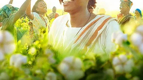 Affiche du film : Cotton Queen