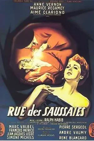 Affiche du film : Rue des saussaies