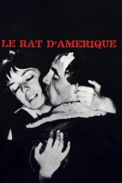 Affiche du film = Le Rat d'Amérique