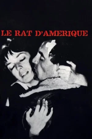 Photo 3 du film : Le Rat d'Amérique