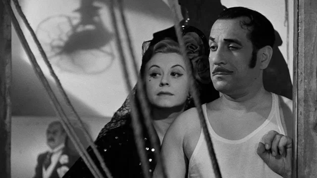 Photo 3 du film : Les Feux du music-hall