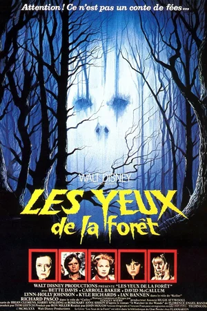 Photo du film : Les yeux de la foret