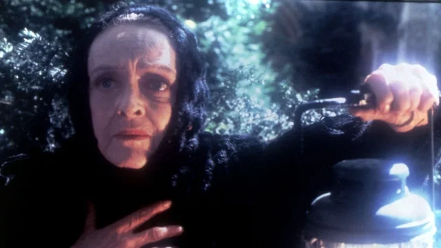 Photo du film : Les yeux de la foret