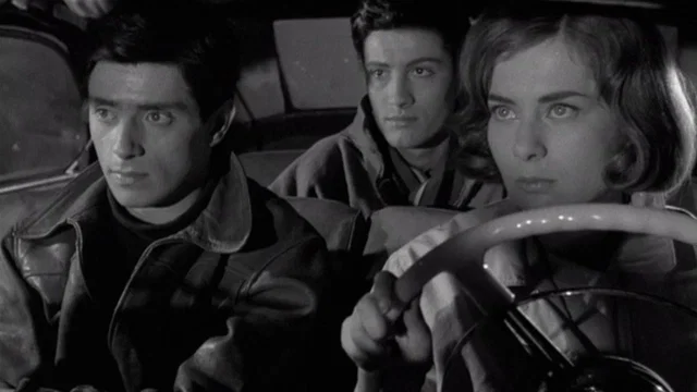 Photo du film : La nuit des traques