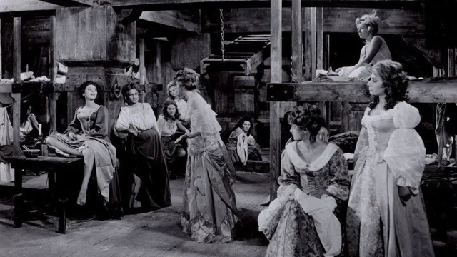 Photo 3 du film : Les revoltes de l'albatros