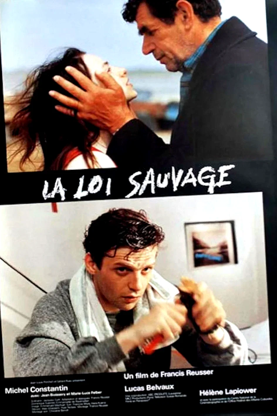 Affiche du film : La loi sauvage