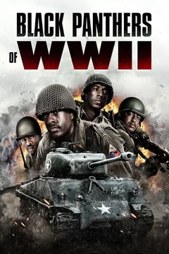 Affiche du film Black Panthers of WWII
