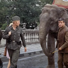 Photo du film : L'extraordinaire evasion