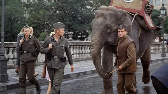 Photo 2 du film : L'extraordinaire evasion