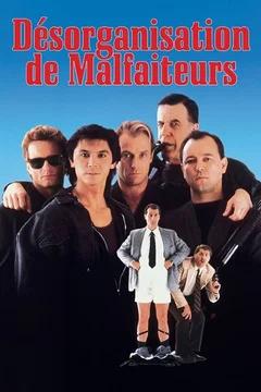Affiche du film Desorganisation de malfaiteurs