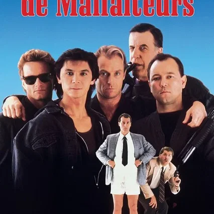 Miniature photo du film : Desorganisation de malfaiteurs