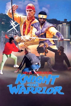 Affiche du film Black ninjas
