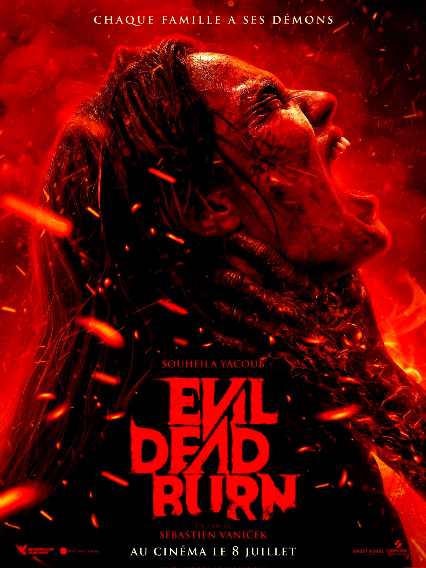 Affiche du film : Evil Dead Burn