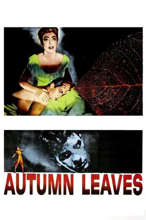 Affiche du film : Feuilles d'automne