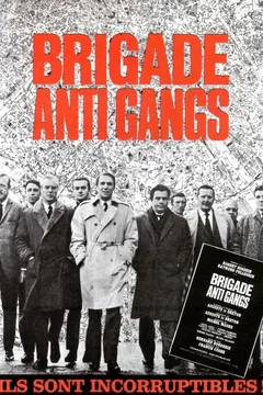 Affiche du film Brigade anti gangs